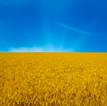 Happy Ukrainian Statehood Day!